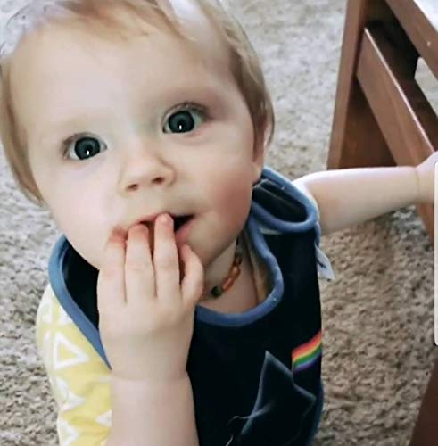 Daphyl'S, Pink Floyd, Dark Side Of The Moon And The Wall 2 Bib Set