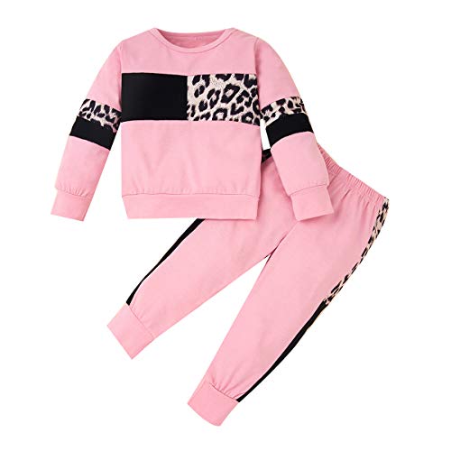 Wesidom Baby Girl Clothes Sets, 2Pcs Autumn Long Sleeve Clothes Outfits Toddler Girl Sweater Sets Pink