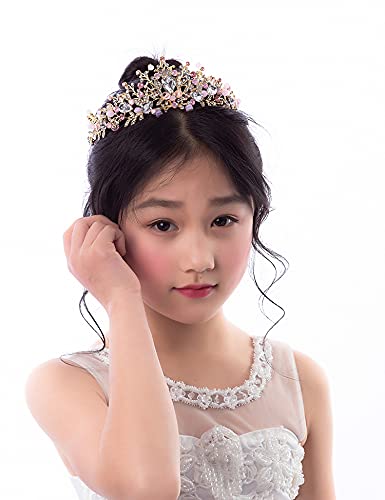 Yovecathou Girls Tiara Princess Crown Pink Headband Rhinestone Hairpiece For Halloween Costume Wedding Bridal Prom Birthday Part