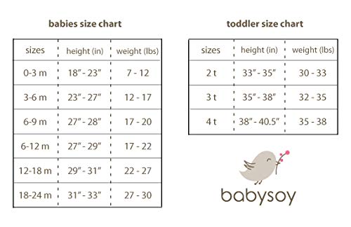 Baby Soy All-Natural Kimono Onepiece Color: Blossom Size: 0-3 Months