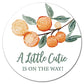 1.5' Round - Cutie Orange Baby Shower Stickers - Set Of 60