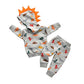Toddler Infant Baby Boy Clothes Colored Dinosaurs Long Sleeve Hoodie Tops Sweatsuit Pants Outfit Set (9-12 Months)
