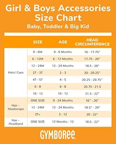 Gymboree,Toddler And Baby Snap Clip 2-Pack Hair Accessories,Valentine Heart,One Size