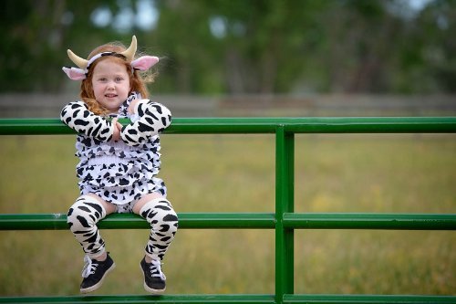 Judanzy Christmas And Halloween Baby And Toddler Leg Warmers For Girls And Boys (One Size, Cow)