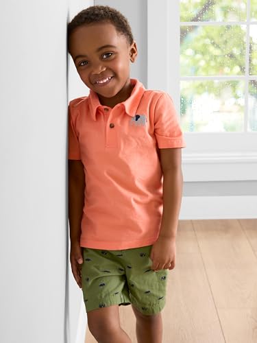 Simple Joys By Carter'S Baby Boys' 3-Piece Playwear Set, Coral Orange Elephant/Green Dinosaur/Grey Alligator, 5T