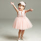 Carecheer Pink Baby Girl Christening Dress Baptism Dedication Blessing Gown Special Occasion Dresses With Floral Embroidered (Us