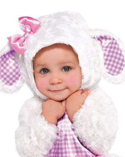 Amscan Little Lamb Halloween Costume For Babies, 6-12 Months, With Dress, Hood, Booties, And Tights
