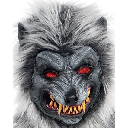 Amscan Hungry Howler Werewolf Costume For Kids, Small (4-6), With Plaid Shirt, Furry Mask And Gloves