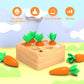 Montessoritoys for 1 Year Old, Wooden Toys Developmental Shape Sorting & Matching Puzzle Carrots Harvest Game, Birthday Gifts fo