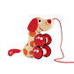 Walk-A-Long Puppy Wooden Pull Toy by Hape  Award Winning Push Pull Toy Puppy For Toddlers Can Sit, Stand and Roll. Rubber Rimmed