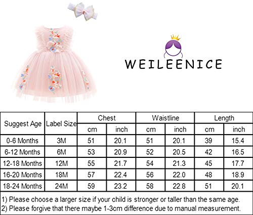 Weileenice Blush Pink Baby Girls Dress Applique Lace Embroidery Tulle Toddler Girl Wedding Christening Princess 1St Birthday Par