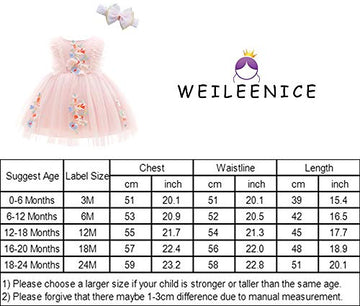 Weileenice Blush Pink Baby Girls Dress Applique Lace Embroidery Tulle Toddler Girl Wedding Christening Princess 1St Birthday Par