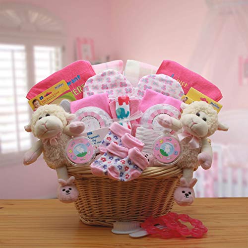 Gbds 890811-P Double Delight Twins New Babies Gift Basket - Pink