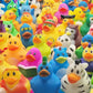 Assortment Rubber Duck Toy Duckies for Kids, Bath Birthday Gifts Baby Showers Classroom Incentives, Summer Beach and Pool Activi