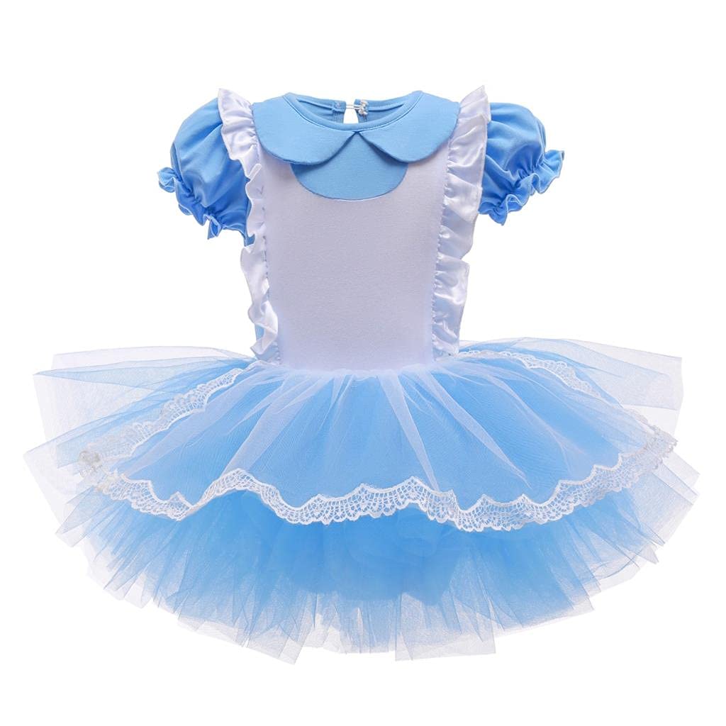 Dressy Daisy Princess Ballet Dance Costume Leotard Tutu Dress for Toddler Girls Ballerina Outfits White Apron Tulle Skirt Size 3