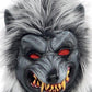 Amscan Hungry Howler Werewolf Costume For Kids, Small (4-6), With Plaid Shirt, Furry Mask And Gloves