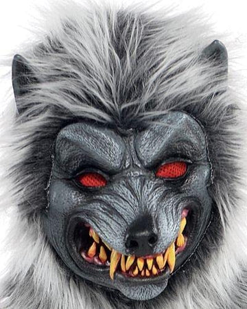 Amscan Hungry Howler Werewolf Costume For Kids, Small (4-6), With Plaid Shirt, Furry Mask And Gloves