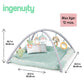 Ingenuity Calm Springs Plush Activity Gym For Baby, Ultra-Soft Premium Mat, Toys