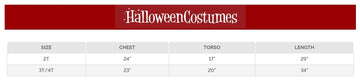 Disguise Toddler Knight Of The Dragon Costume 2T
