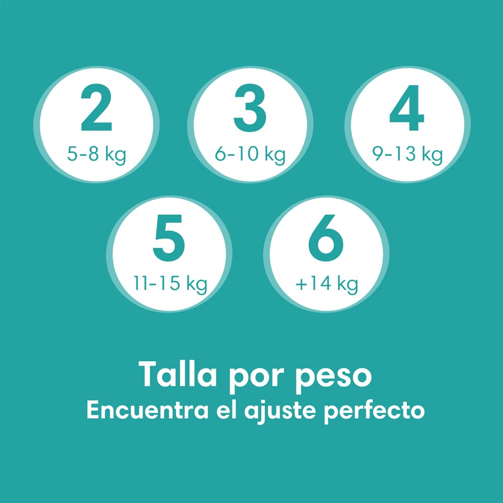 Pampers Diapers