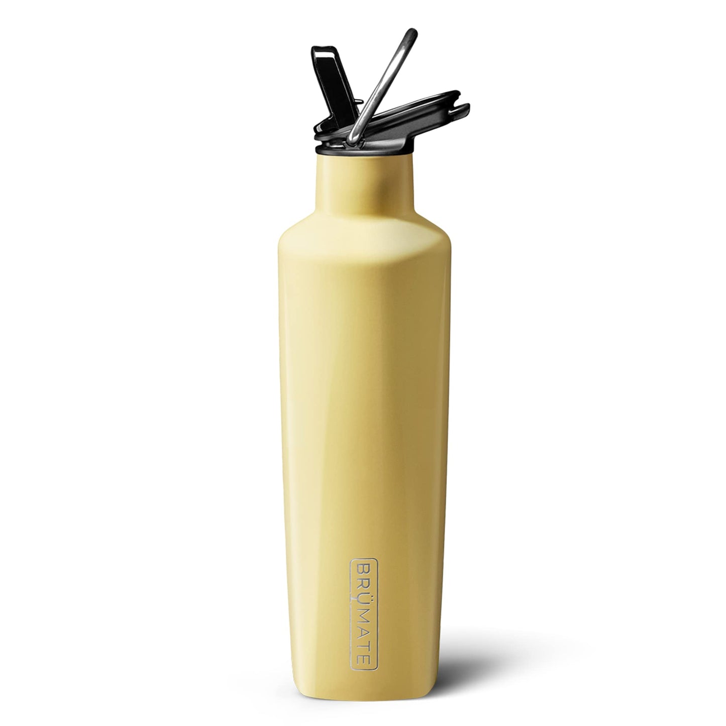 BrMate ReHydration Mini - 100% Leakproof 16oz Insulated Water Bottle with Straw - Stainless Steel Water Canteen (Daisy)