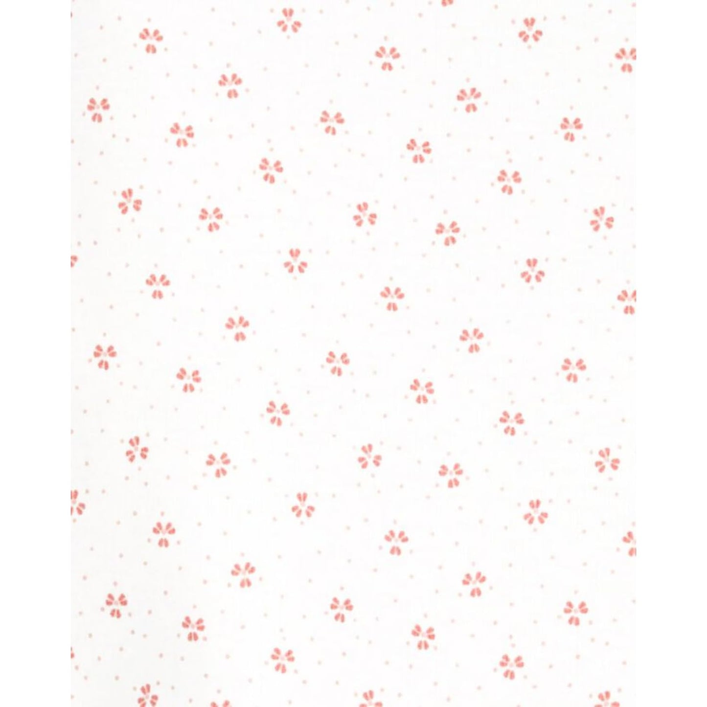 Carter'S Baby-Girls Multi-Pk Bodysuits (Pink/White Love, 24 Months)