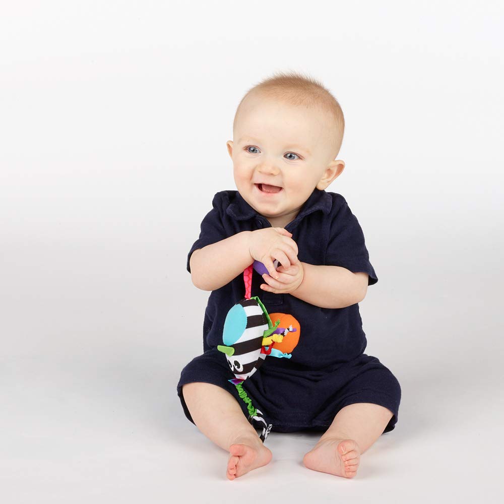 Sassy Boppin Birdie | Developmental Plush Toy for Early Learning | High Contrast | Attaches to Baby Gear for Travel | for Ages N