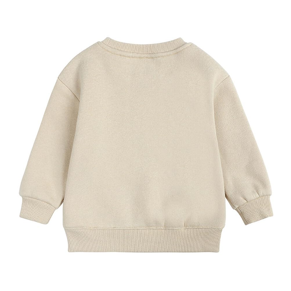 Rukosu Toddler Baby Boy Girl Fleece Pullover Sweatshirt Solid Color Crewneck Blouse Shirt Tops Warm Fall Winter Clothes Apricot