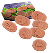 Lets Investigate Dinosaur Footprint