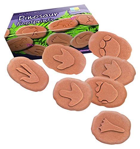 Lets Investigate Dinosaur Footprint