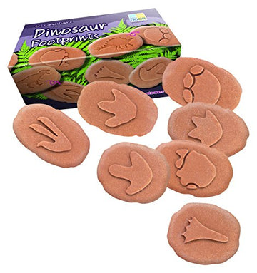 Lets Investigate Dinosaur Footprint