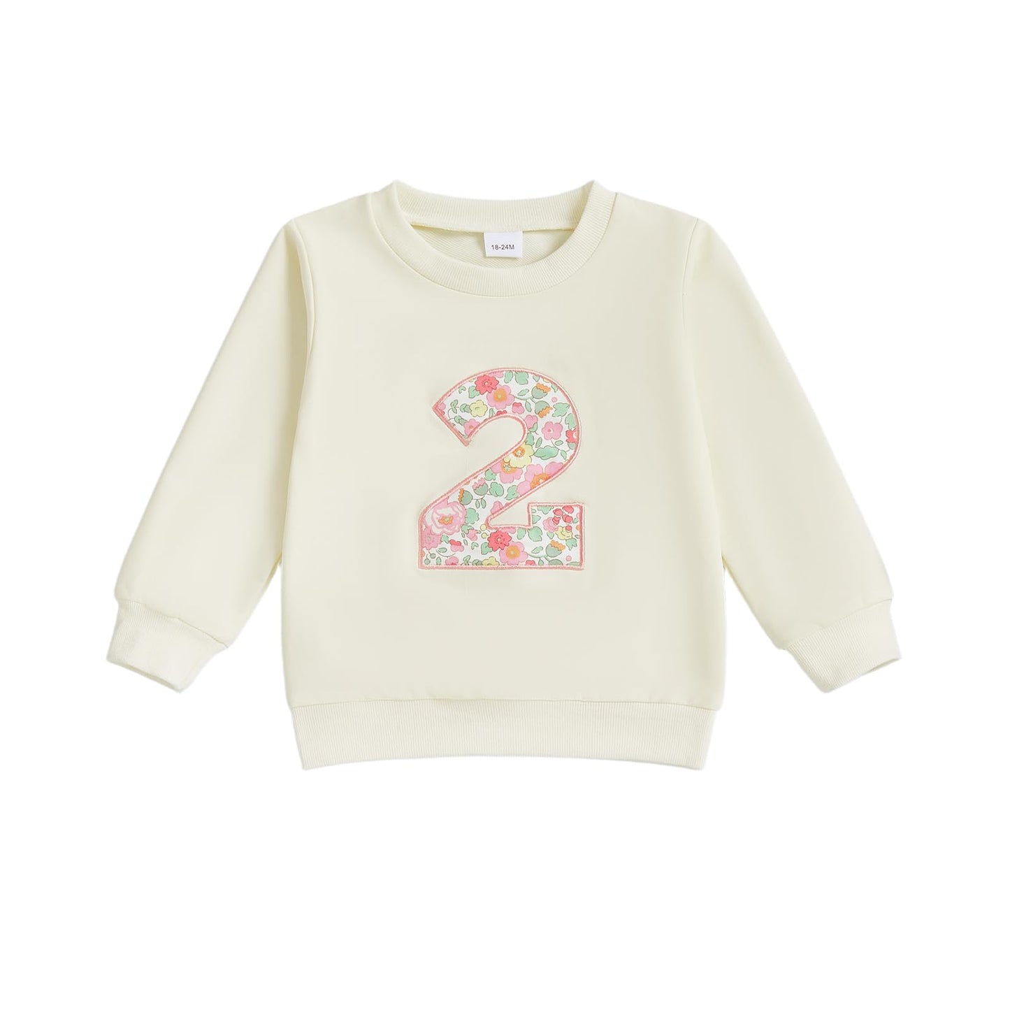 CREAIRY Toddler Baby Girl 1st 2nd 3rd 4th 5th 6th Birthday Outfit One Two Three Four Five Year Old T-Shirt Fall Sweatshirt (Two,