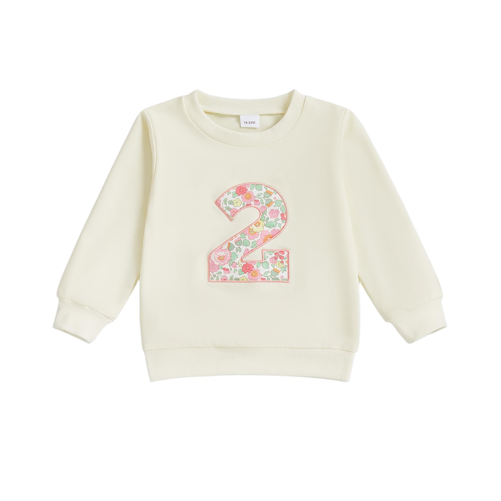 CREAIRY Toddler Baby Girl 1st 2nd 3rd 4th 5th 6th Birthday Outfit One Two Three Four Five Year Old T-Shirt Fall Sweatshirt (Two,