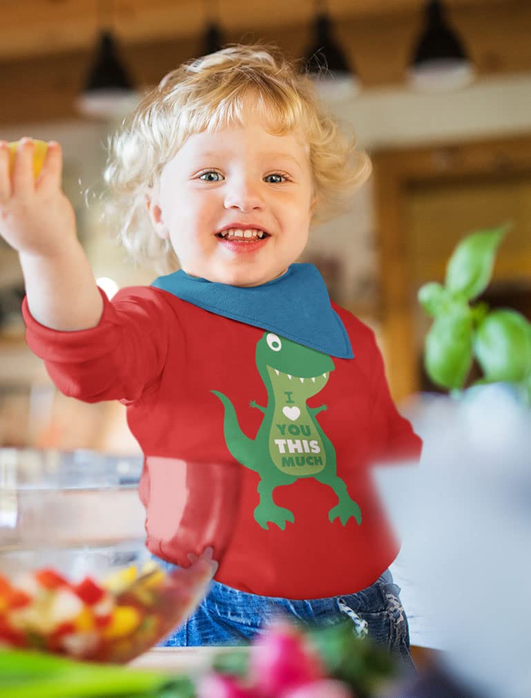 Dinosaur Boys Valentines Shirt Long Sleeve Funny Trex Heart Crusher Valentine Day Toddler Boy Kids T-Shirt 4T Red