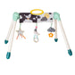 Taf Toys Mini Moon Take-to-Play Baby Activity Gym | Newborn All Time Entertainment, Double Sided for 2 Developmental Stages, Fol