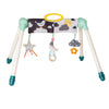 Taf Toys Mini Moon Take-to-Play Baby Activity Gym | Newborn All Time Entertainment, Double Sided for 2 Developmental Stages, Fol