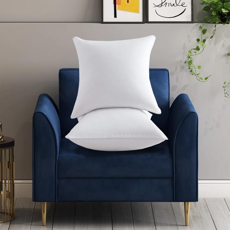 White Cushion Cushion Set of 2 Cushions for Sofa 16 x 16 Set of 2 Cushion for Chair Decorative Items for Home Square Pillow Set 