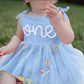 Titkkop Baby Girl 1St Birthday Clothes One Year Old Tulle Romper Sleeveless Bodysuit Cake Smash Outfits(Blue3,9-12M)