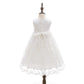 Baby Girls Floral Embroidered Overlay Sleeveless Christening Gown Baptism Tulle Dress With Bonnet Ivory Size 24M / 18-30Months