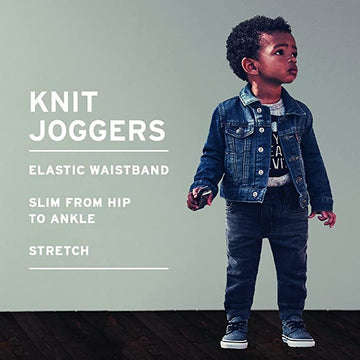 Levi'S Baby Boys' Jogger Pants, Pebble Grey, 9M