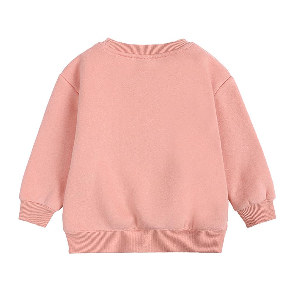 Rukosu Toddler Baby Boy Girl Fleece Pullover Sweatshirt Solid Color Crewneck Blouse Shirt Tops Warm Fall Winter Clothes Pink 3-4