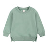 Rukosu Toddler Baby Boy Girl Fleece Pullover Sweatshirt Solid Color Crewneck Blouse Shirt Tops Warm Fall Winter Clothes Green 6-