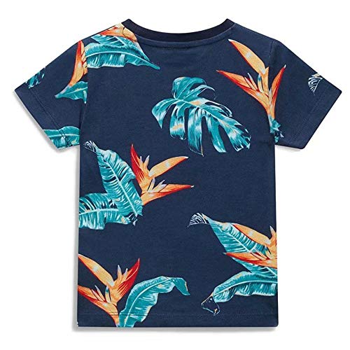 Little Bitty 2T Boy Clothes Summer Cotton Clothing Outfits Short Sleeve T-Shirt & Shorts Set,Coconut Tree 2-3Y/2T