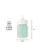 Lifefactory 8-Ounce Stainless-Steel Vacuum-Insulated Wide-Neck Baby Bottle With Straw Cap, Mint, Ls2241Wmi4