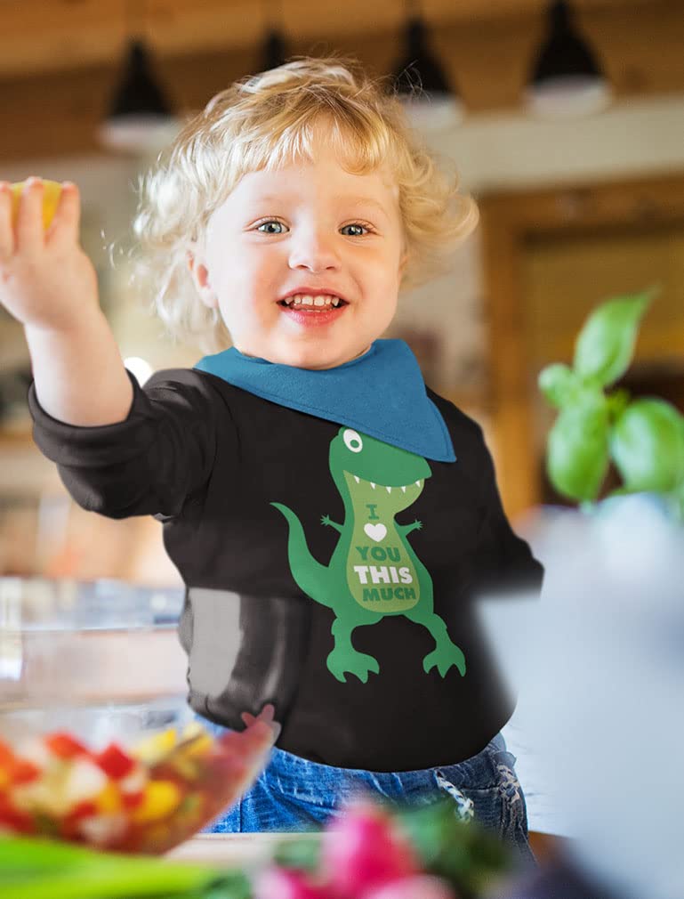 Dinosaur Boys Valentines Shirt Long Sleeve Funny Trex Heart Crusher Valentine Day Toddler Boy Kids T-Shirt 3T Black
