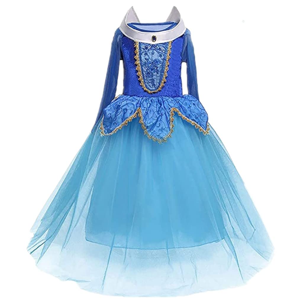 Dreamhigh Sleeping Beauty Princess Party Girls Costume Dress (Blue, 5-6 Years)