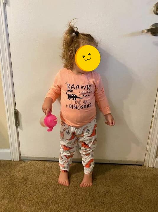 Boutikome Toddler Baby Girls Clothes Sets Little Girl Dinosaur Long Sleeve Shirts Tops + Pants 2Pcs Fall Winter Outfits(Pink,3T)