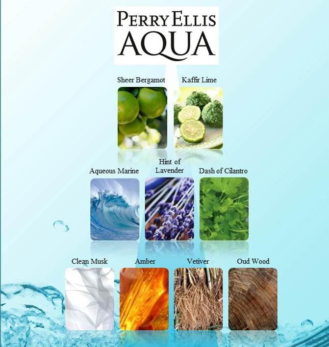 Perry Ellis Aqua for Men 4-Piece Gift Set