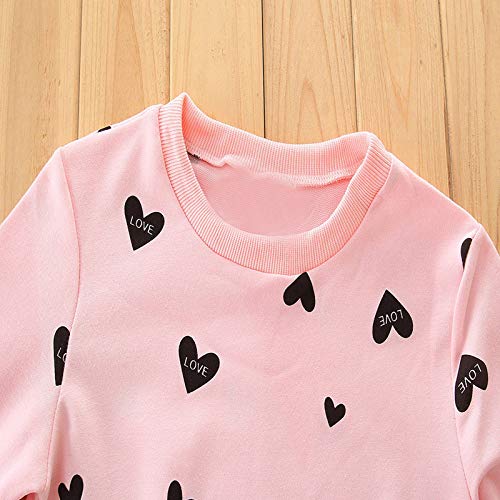 Little Girl Clothes Infant Outfits Set 2 Pieces Long Sleeved Tops And Pants (Pink, 18-24 Months)