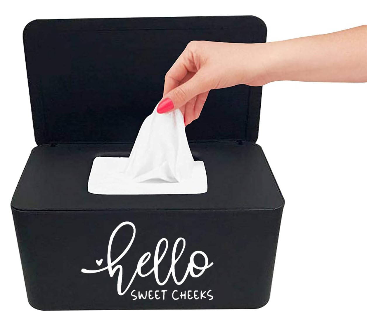Moorfowl Hello Sweet Cheeks Flushable Wipes Dispenser, 8.2L x 4.9W x 3.9H inches, Bathroom Wipes Container Holder Cute Funny Rus